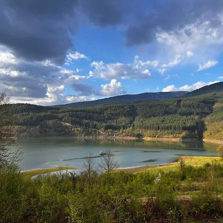 Zavojsko Jezero - Vila Jezero 皮罗特 外观 照片