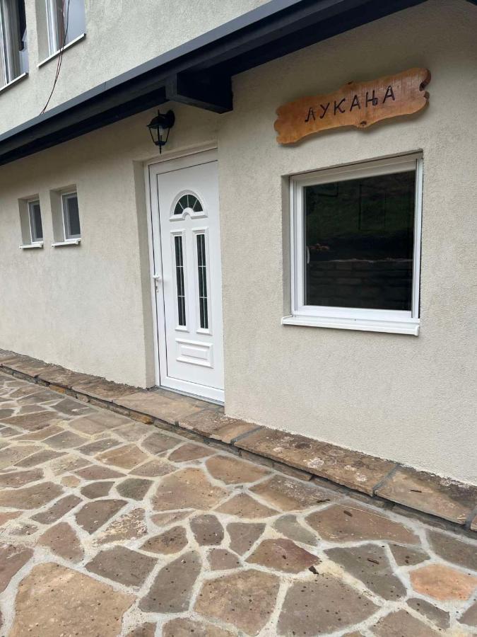 皮罗特Zavojsko Jezero - Vila Jezero公寓 外观 照片